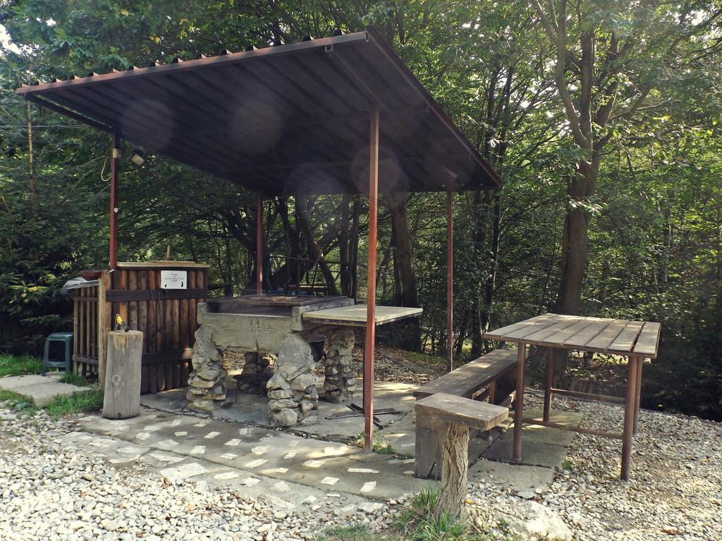 拉诺伊小木屋拉 Rîşnov 外观 照片