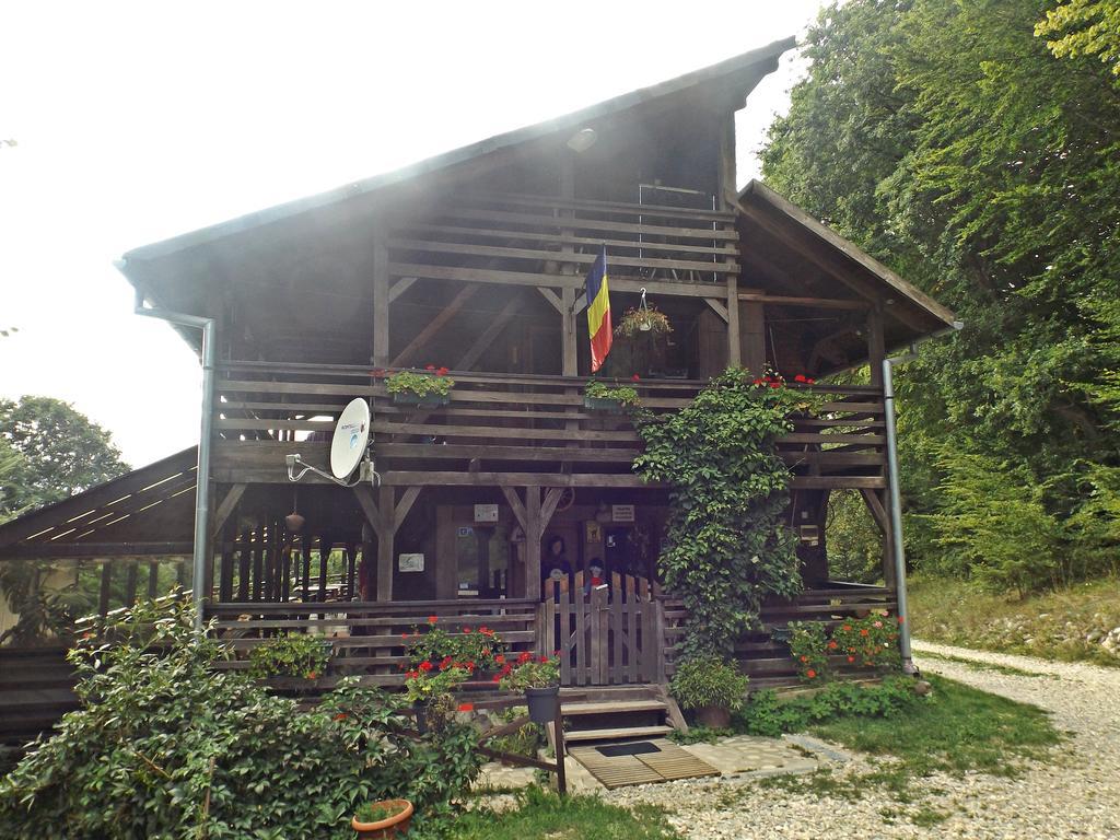 拉诺伊小木屋拉 Rîşnov 外观 照片