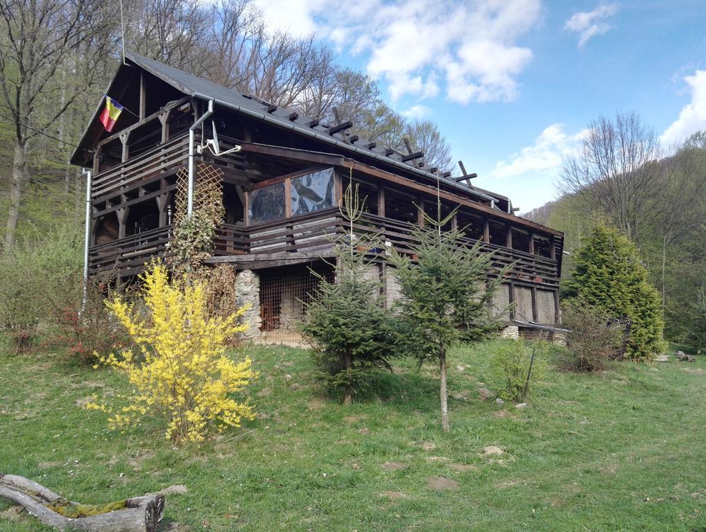 拉诺伊小木屋拉 Rîşnov 外观 照片